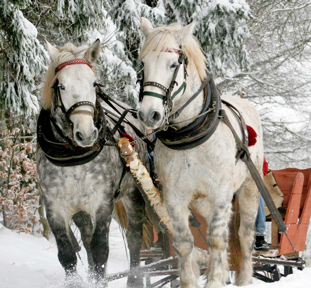 A Currier Ives White Mountains Christmas Northeast Unlimited Tours