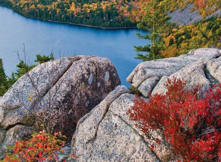 Naturally Northern New England