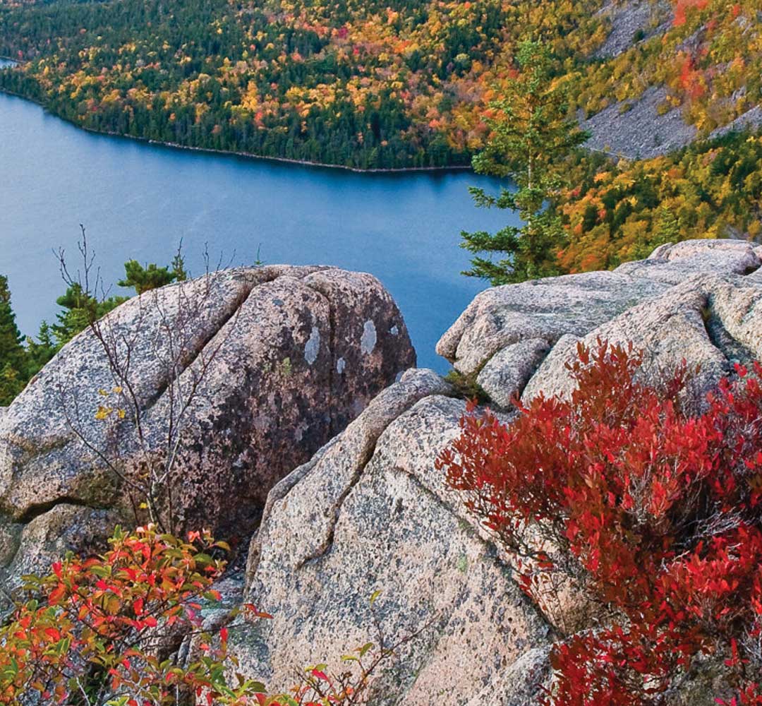 Naturally Northern New England