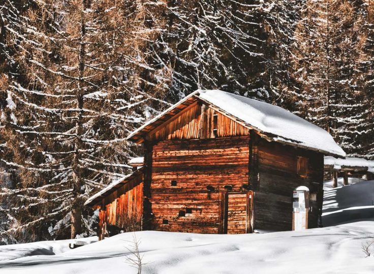 Vermont Country Christmas