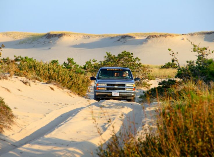 Cape Cod ~ Lobsters, Dunes & Vines