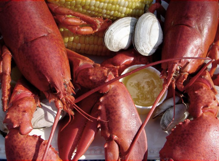 Cape Cod ~ Lobsters, Dunes & Vines