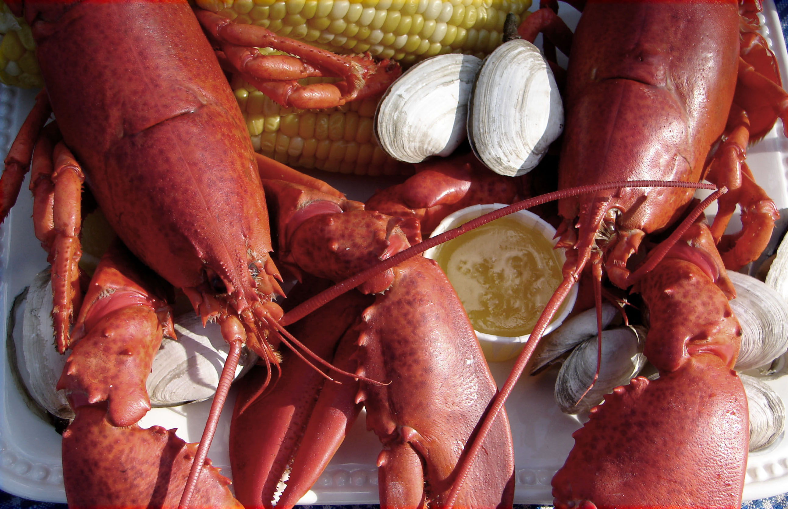 Cape Cod Lobsters, Dunes & Vines Northeast Unlimited Tours