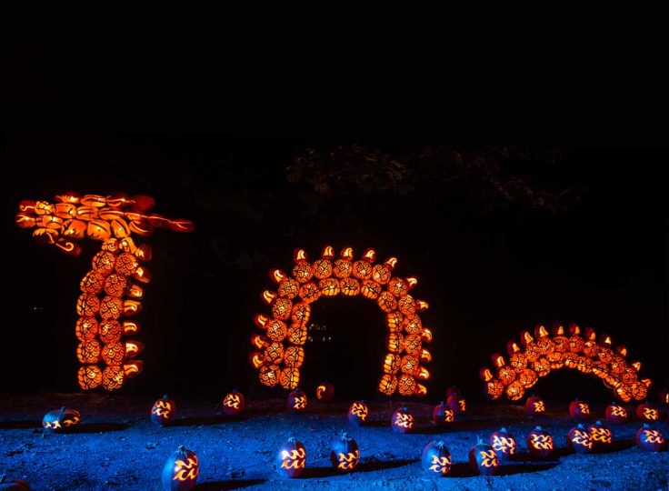 The Great Jack O’Lantern Blaze