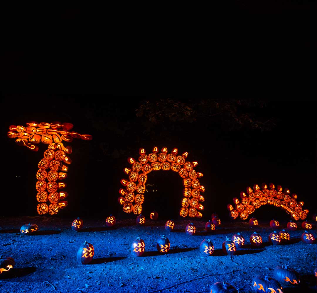 The Great Jack O’Lantern Blaze Northeast Unlimited Tours