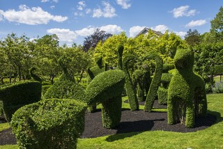Newport Flower Show